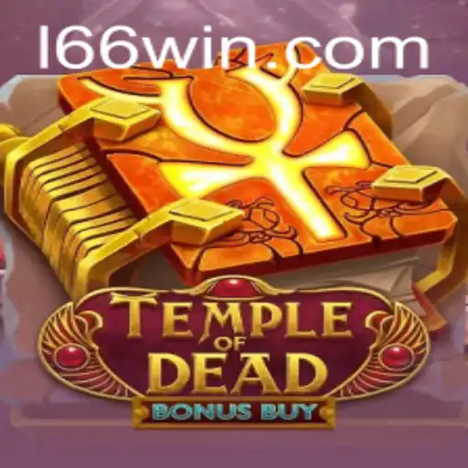 166win.com Casino App